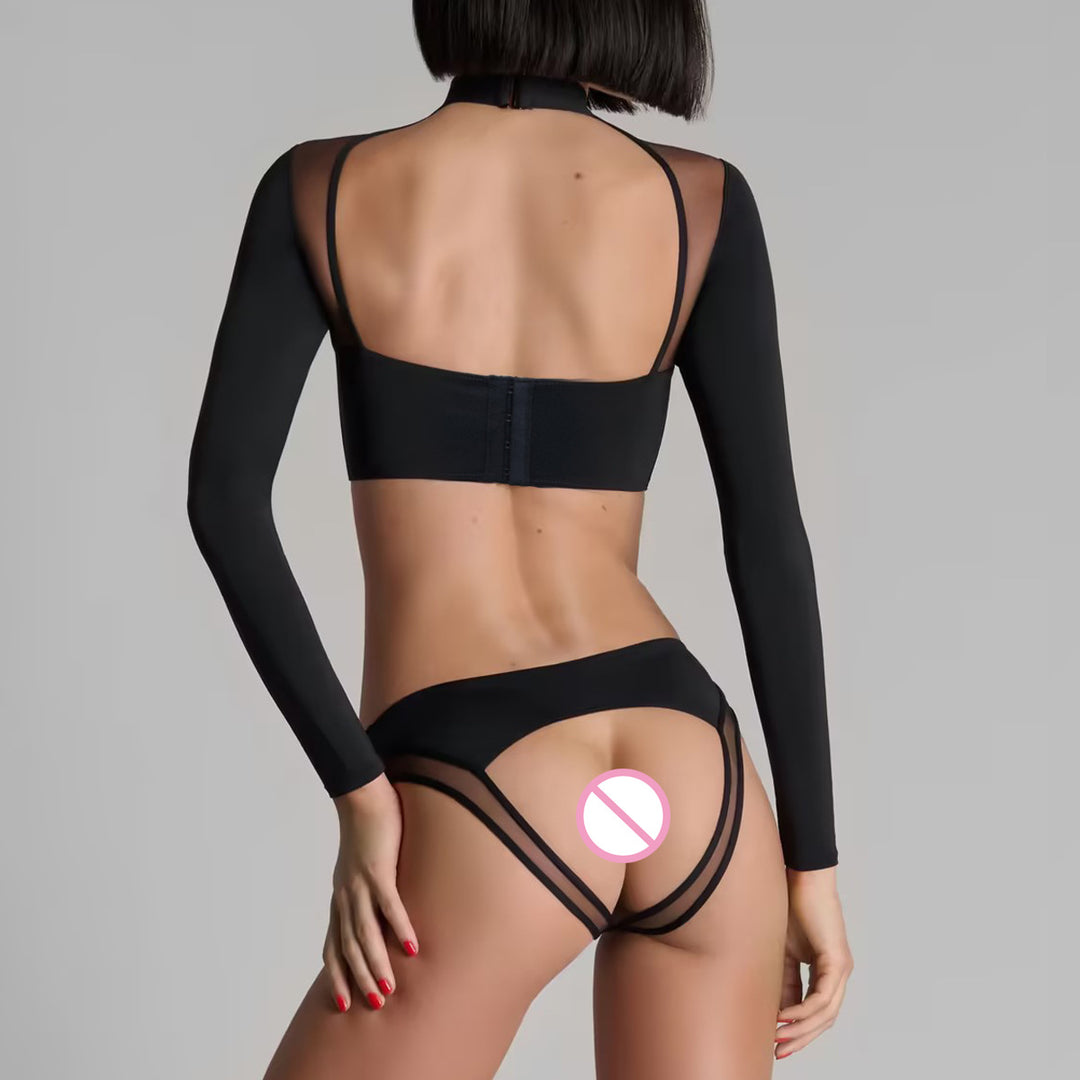 High Neck Sheer Mesh Long Sleeve Lingerie
