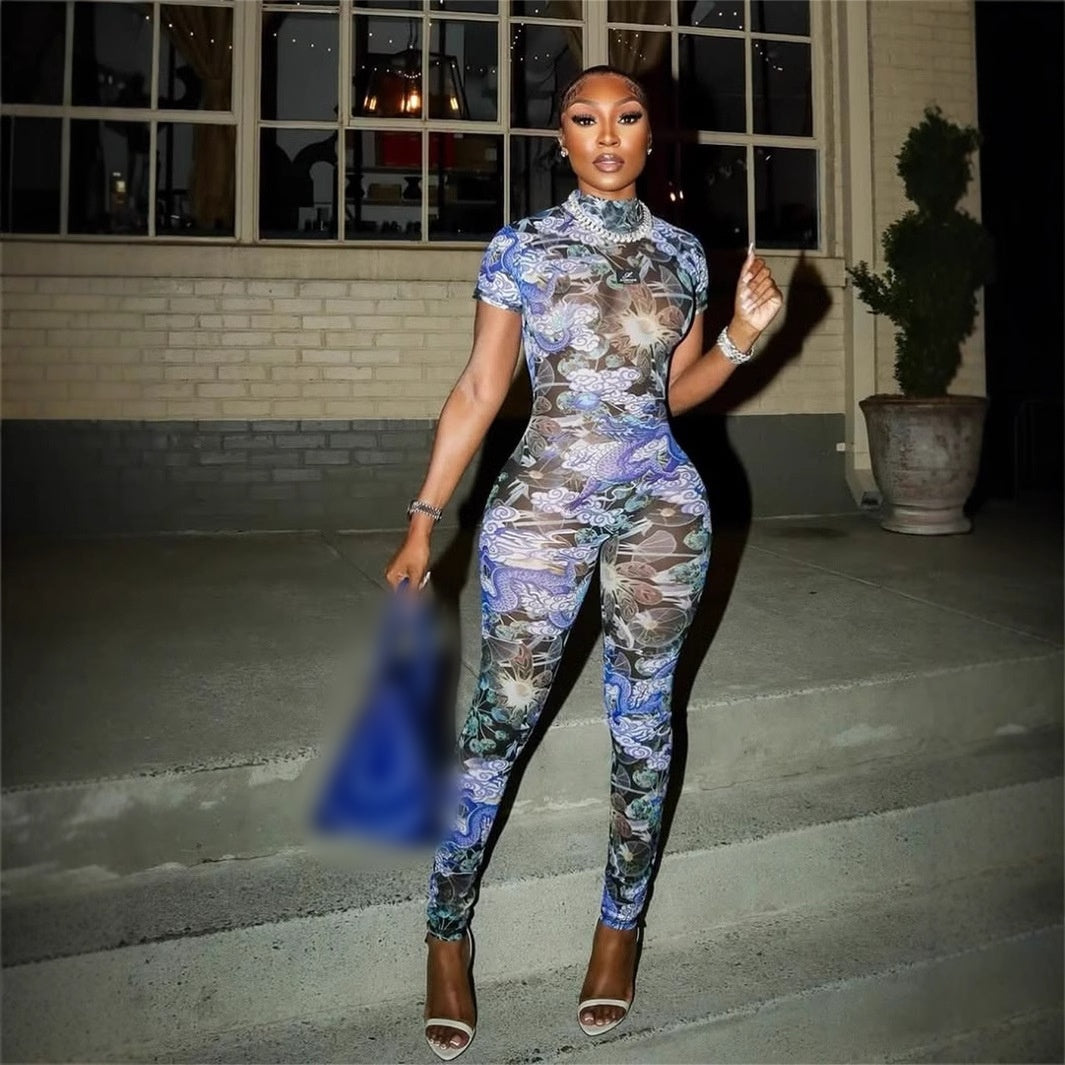 Printed Sheer Mesh Mock Neck Jumpsuit