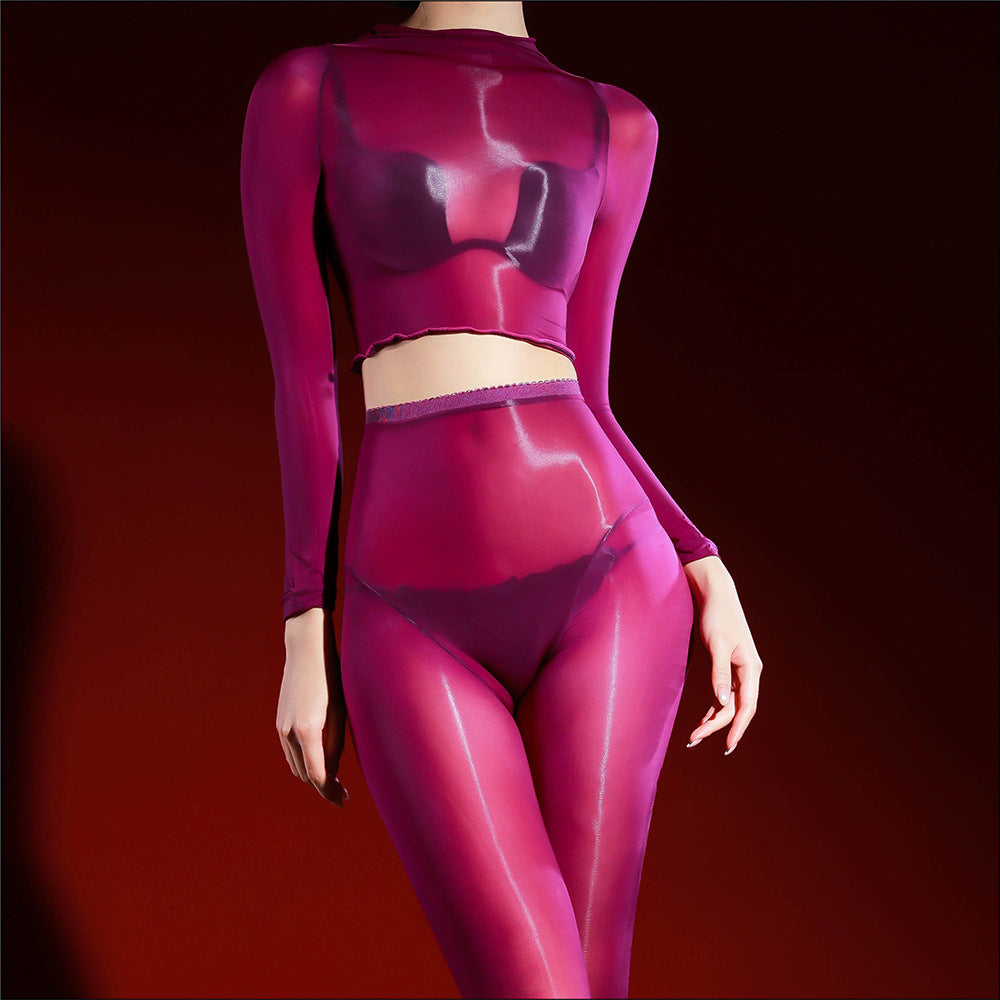 Ultra Sheer Shiny Mesh Lingerie Set