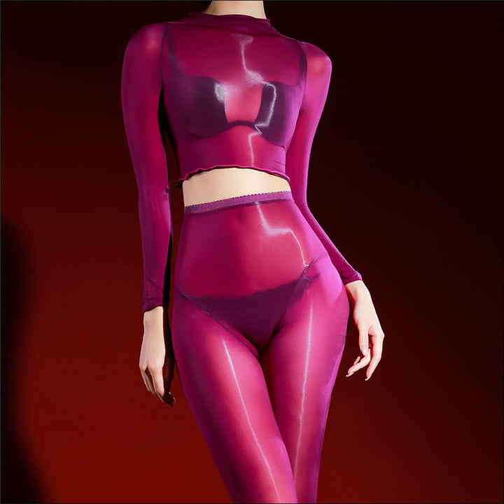 Ultra Sheer Shiny Mesh Lingerie Set