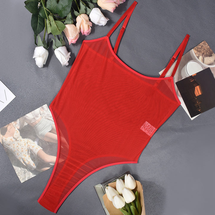 Sheer Seduction Sexy Mesh Bodysuit