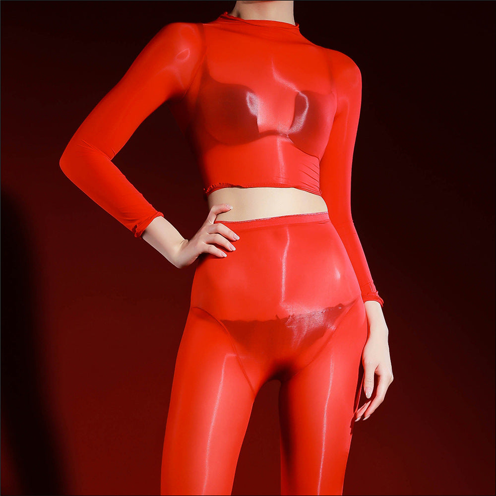 Ultra Sheer Shiny Mesh Lingerie Set
