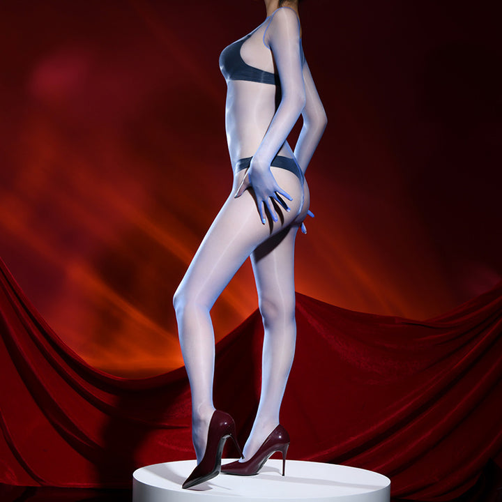 Full Body Shiny Oil Sheer Mesh Bodystocking